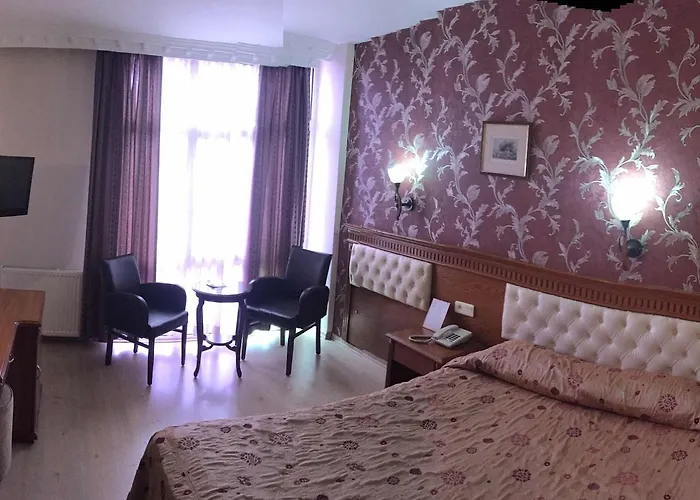 Hotell Ebru Antique Istanbul