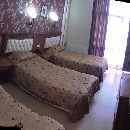 Hotel Ebru Antique 3*