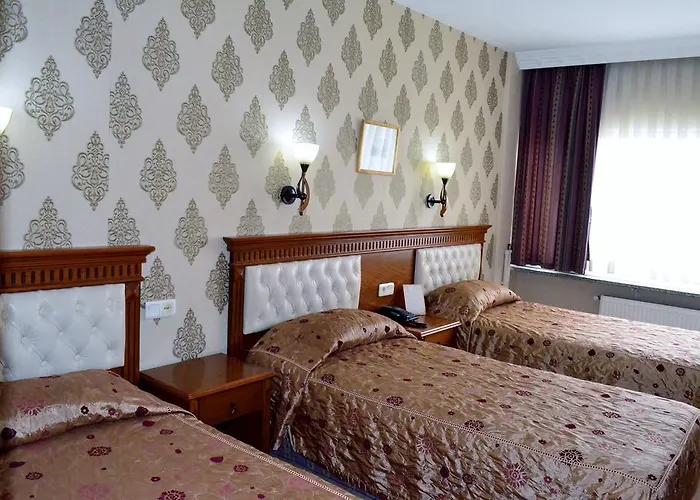 Hotel Ebru Antique Istanboel